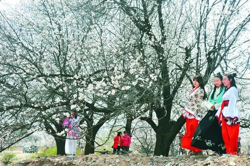 天游8线路注册检测中心 安全检测仪表盘